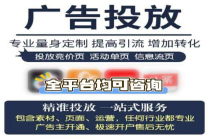 某企业选择SEM外包公司的决策与成果展示